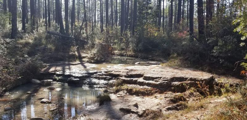 Primitive Camping The Old-School Way