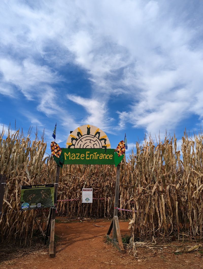 A Five-Acre Corn Maze Anchors The Festival