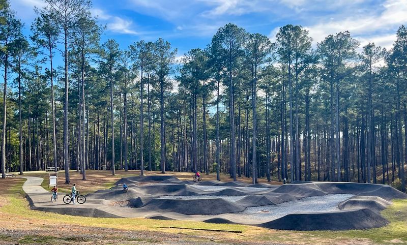 Mountain Biking Trails That Riders Rave About
