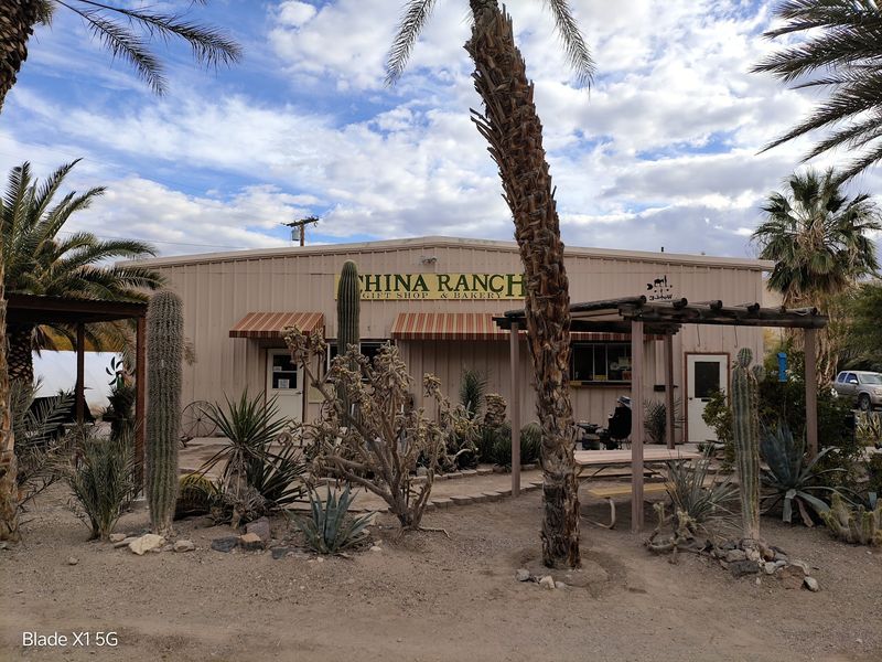 China Ranch Date Farm & Bakery, Tecopa, CA