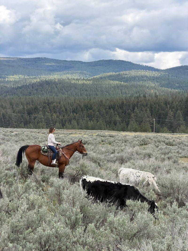 Thirty-Seven Thousand Acres Give The Ride Room To Spread Out