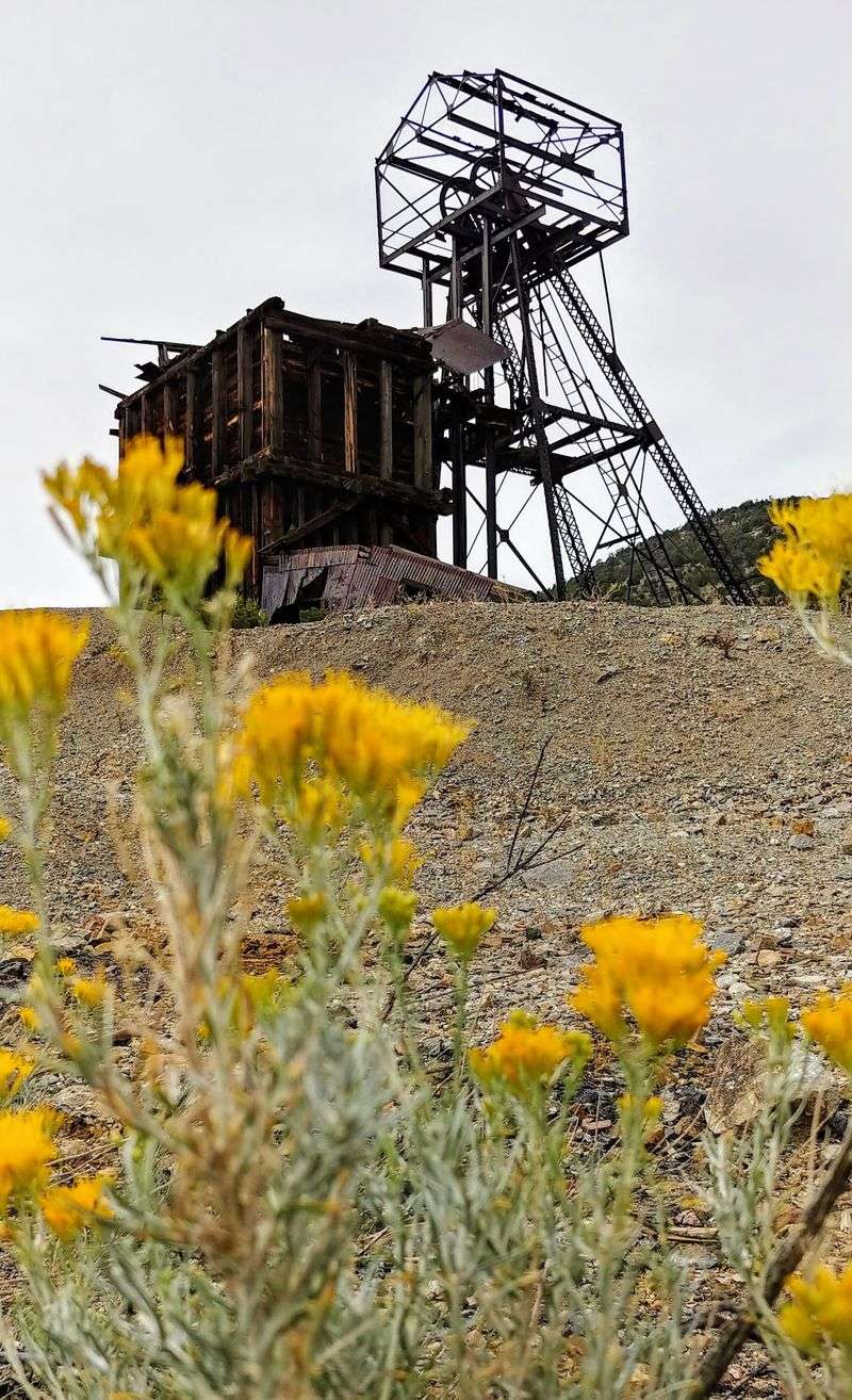A Hiker's Trail to the Top