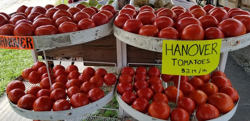 The Produce Tables Change With The Fields
