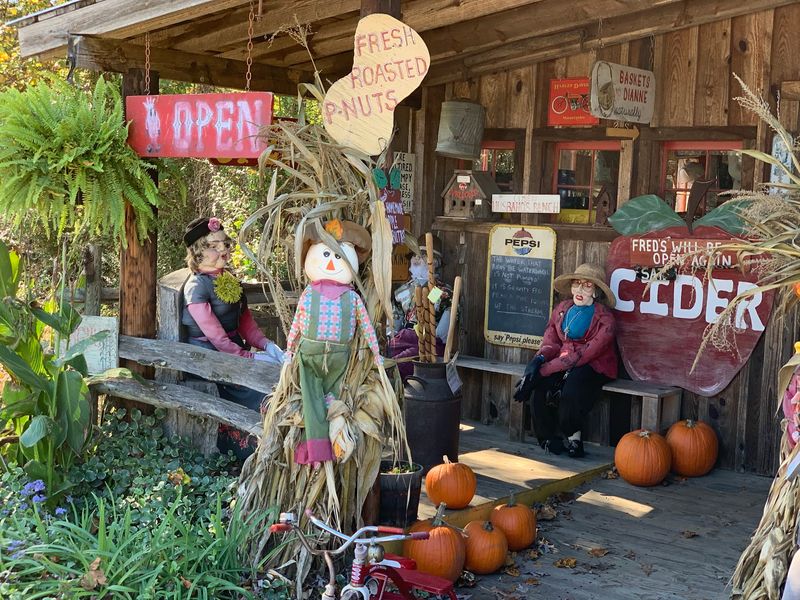 Fred’s Fits Naturally Into A North Georgia Fall Drive