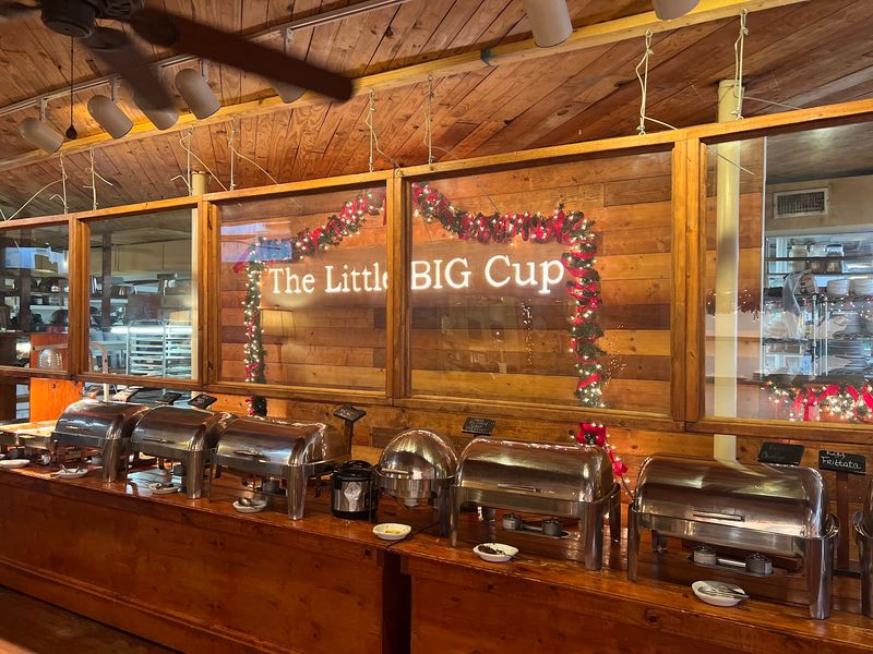 The Little Big Cup