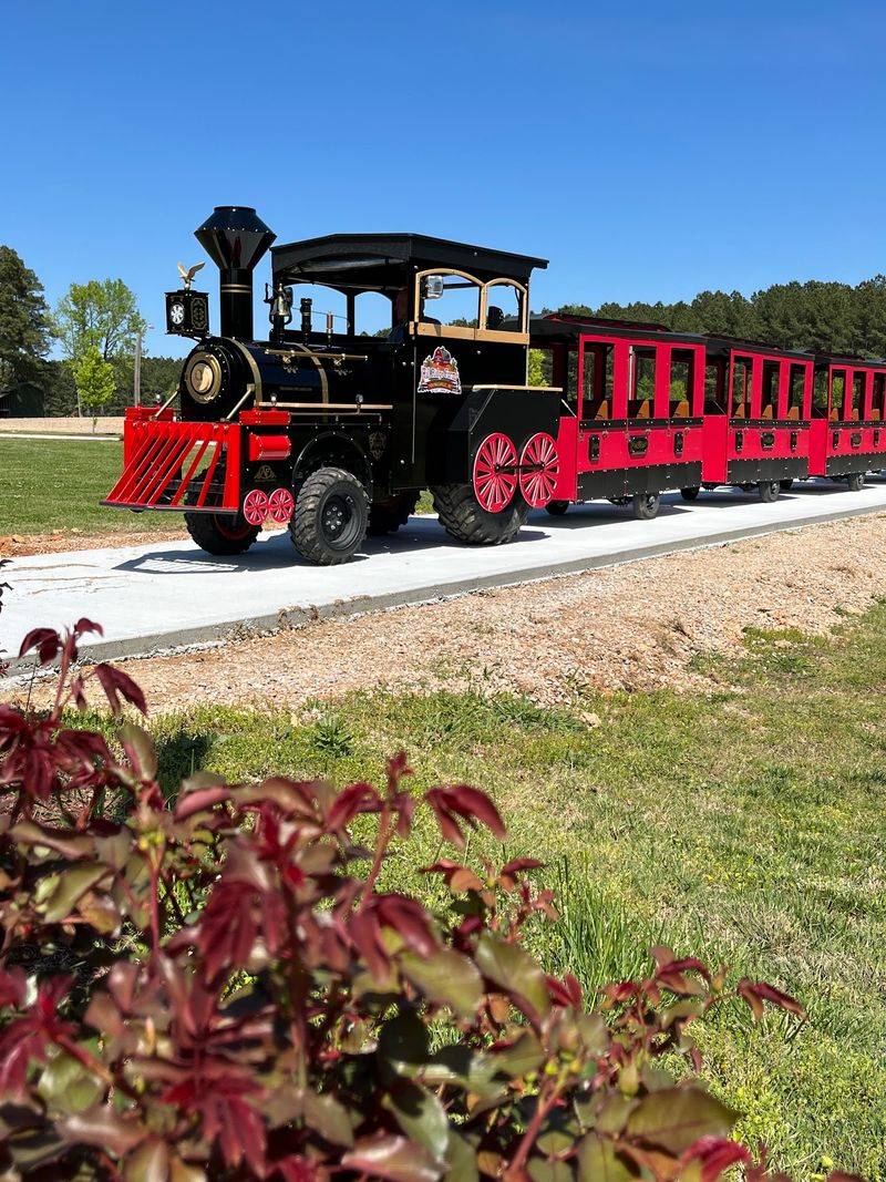 Train Rides, Slides And Play Areas Keep The Energy Moving