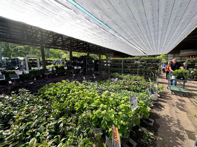 Surplus Finds And Large Lots Add An Outlet-Store Twist