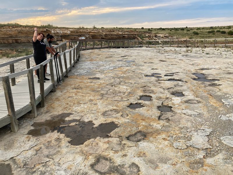 Footsteps From 100 Million Years Ago
