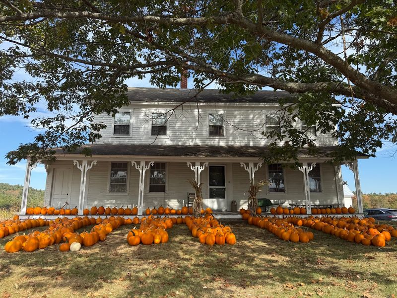 Pumpkin Hunting Comes With More Than One Option