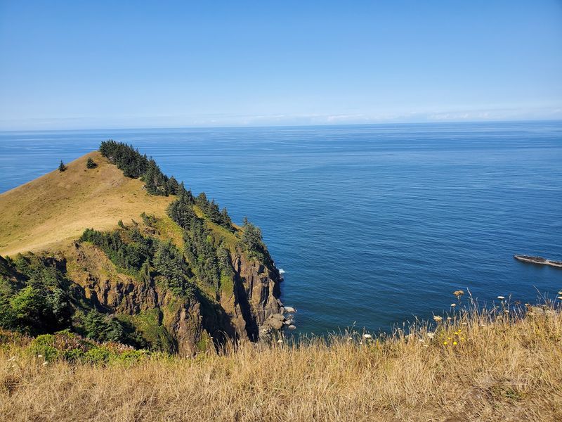 Cascade Head Brings Coastal Forest Above The Ocean
