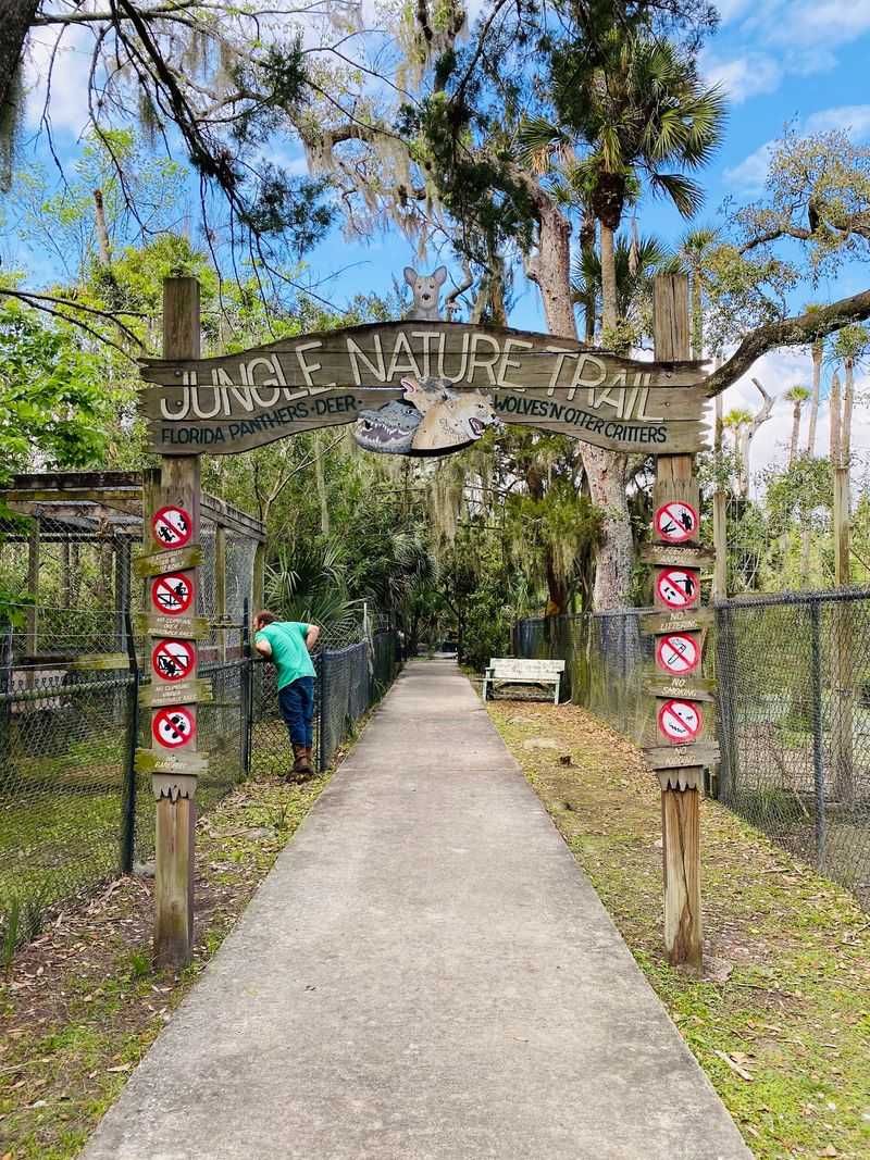 Jungle Adventures Grew From A Small Operation In The 1970s