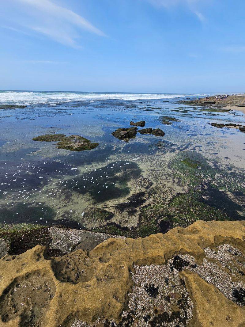 Ocean Beach Tide Pools, San Diego, CA