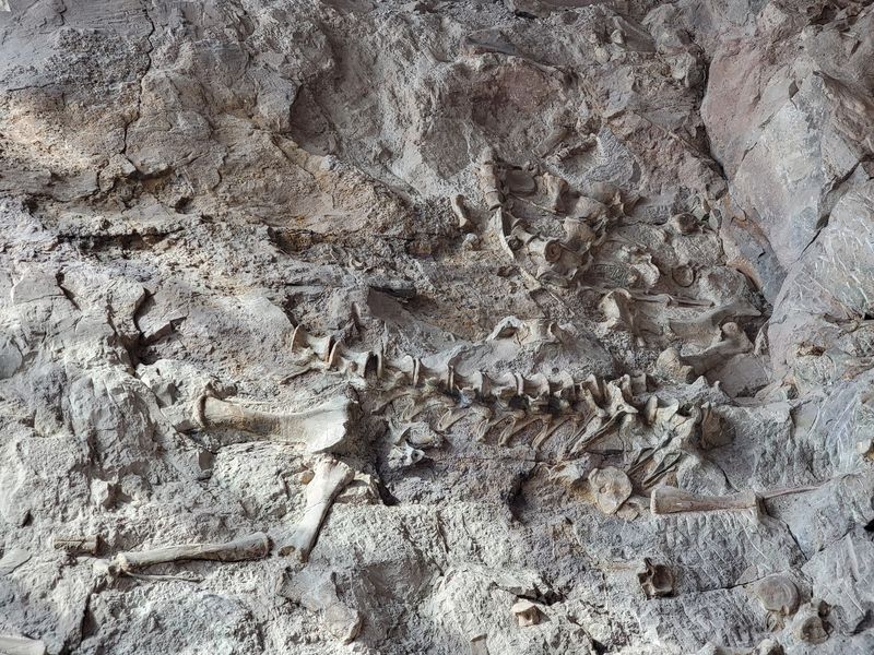 Jensen Is The Utah Gateway For The Famous Bones