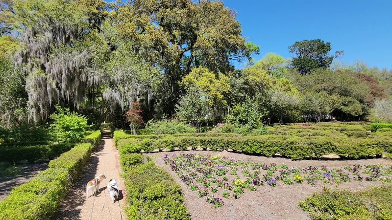 Live Oaks, Gazebos, And Grounds To Wander