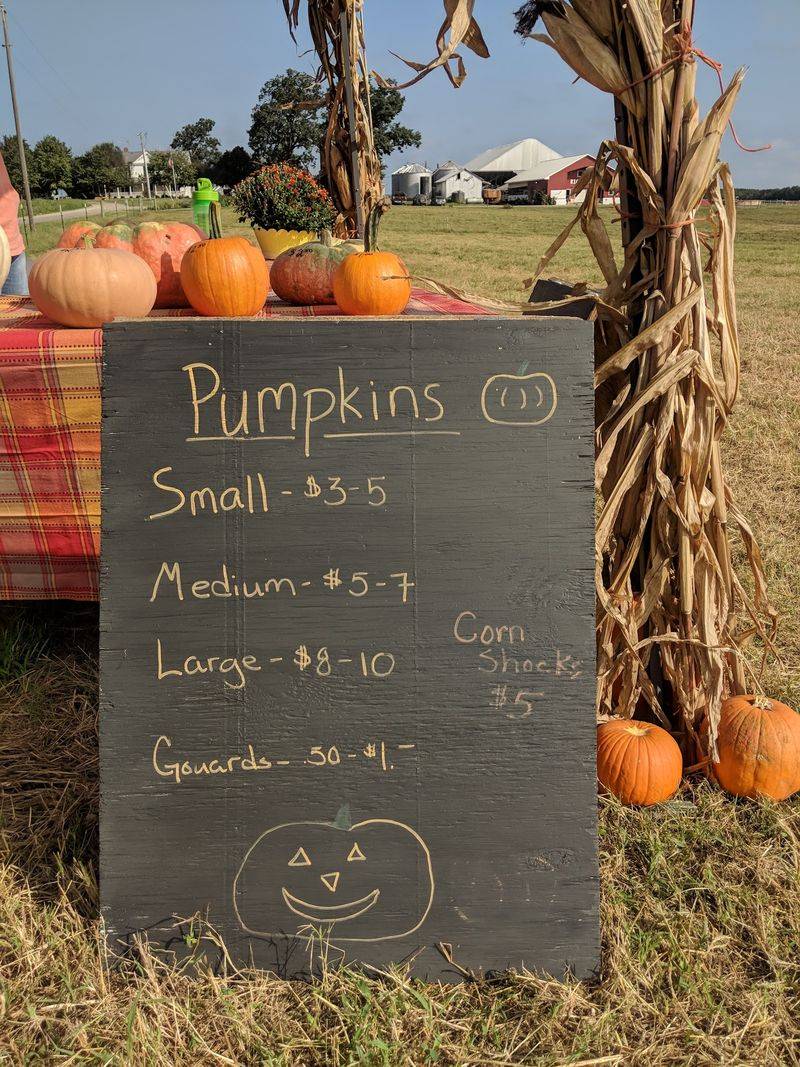 Fall Adds A Corn Maze And Pumpkin Patch