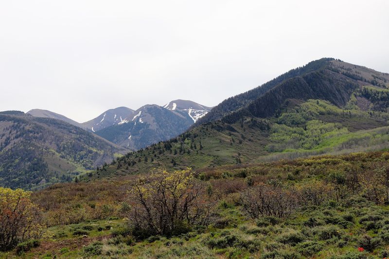 A Simple Saturday Detour Can Work If You Keep It Honest
