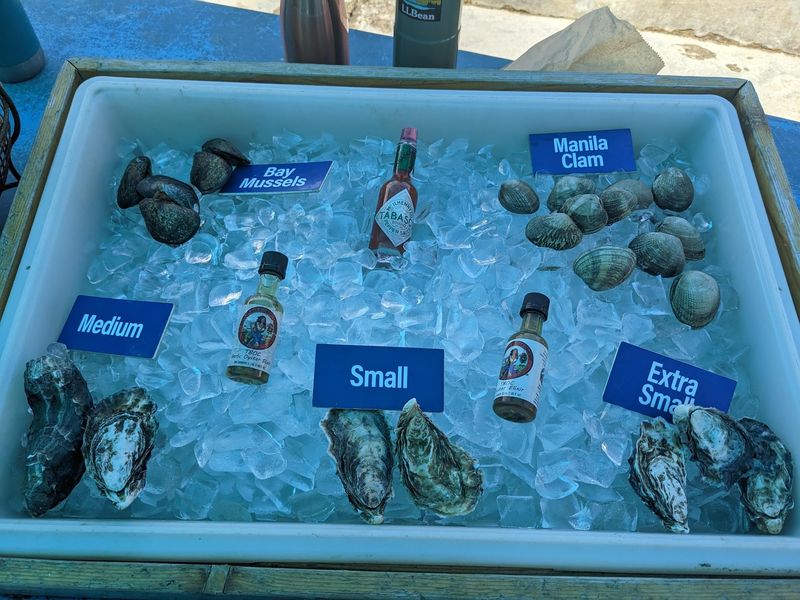 Clams, Mussels, and More Than Just Oysters