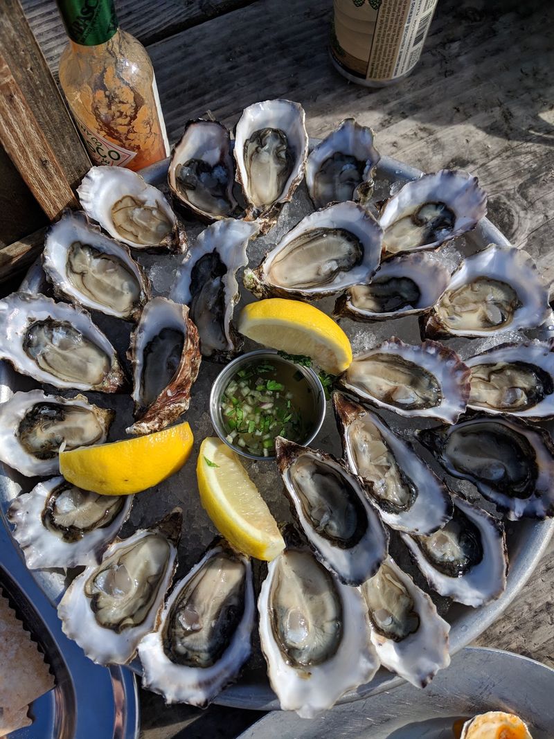 Oysters So Fresh They Were Underwater Minutes Ago