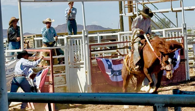 Rodeo Action Takes Center Stage