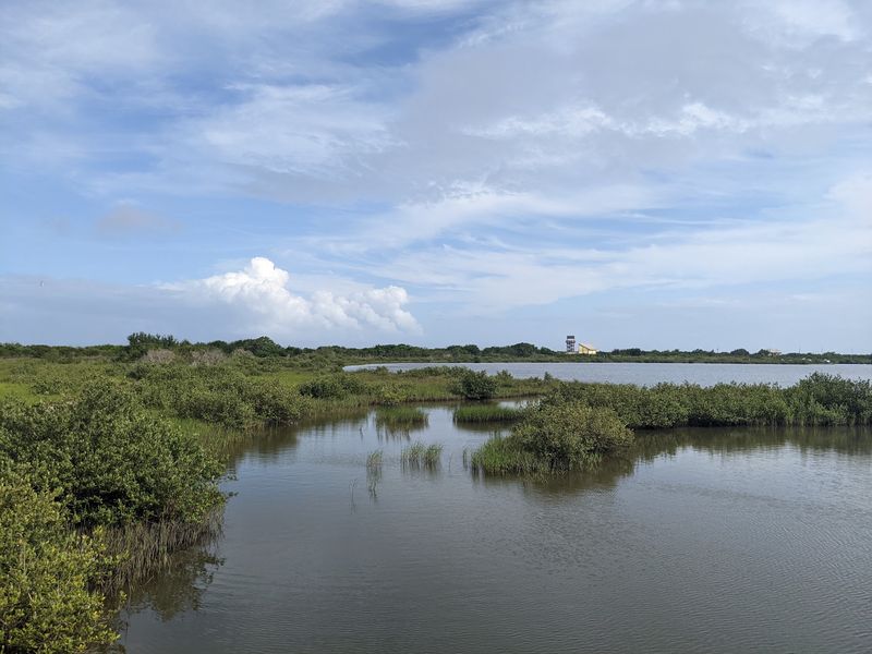 Live Oaks And Coastal Chenieres As Resting Spots