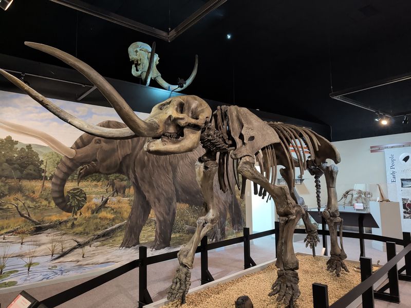 Ice Age Fossils Push The Story Far Beyond Recorded History