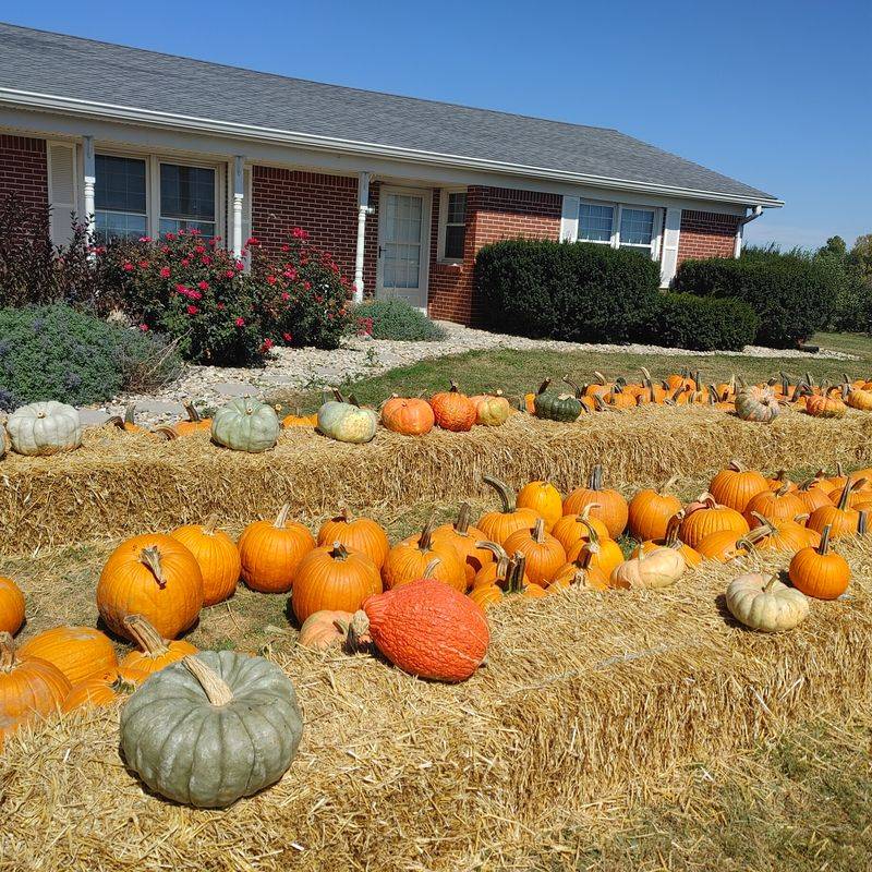 Pumpkins Take Over Part Of The Trip Later In Fall