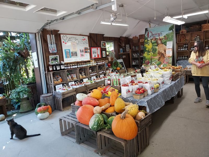 Apples Share The Farm With Other Produce