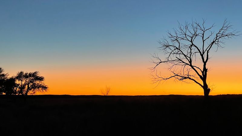 Golden Hour Leads Straight Into Stargazing