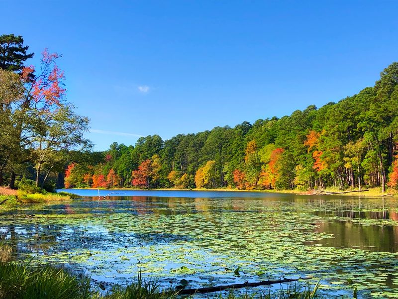 Civilian Conservation Corps Crews Built The Park’s Core