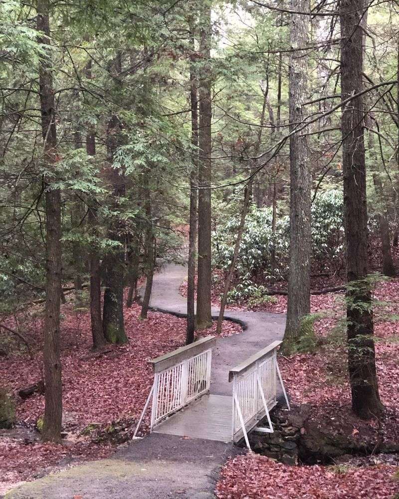 The Base Trail Changes The Angle Completely
