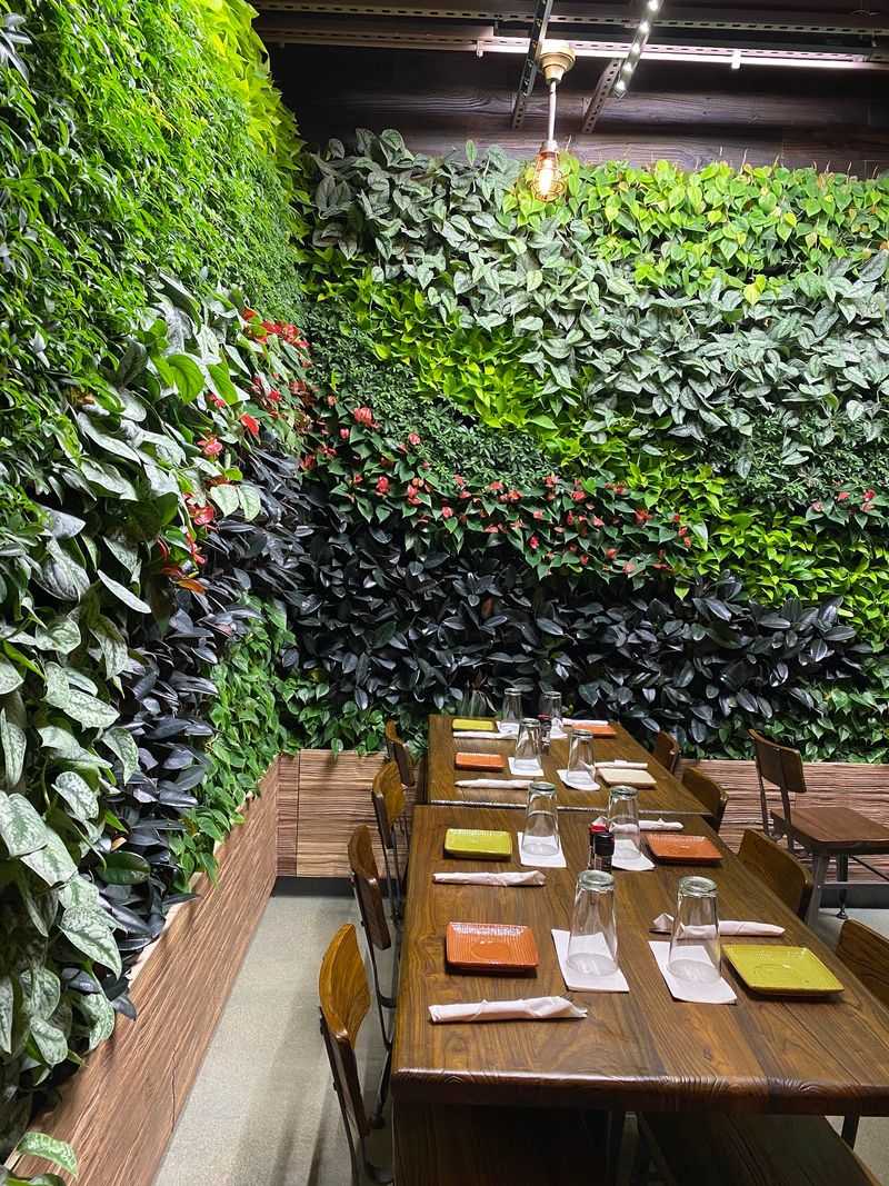 Modern Greek And Salad Bar