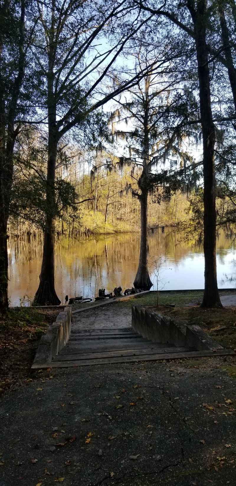 River Safety Matters As Much As Snake Awareness
