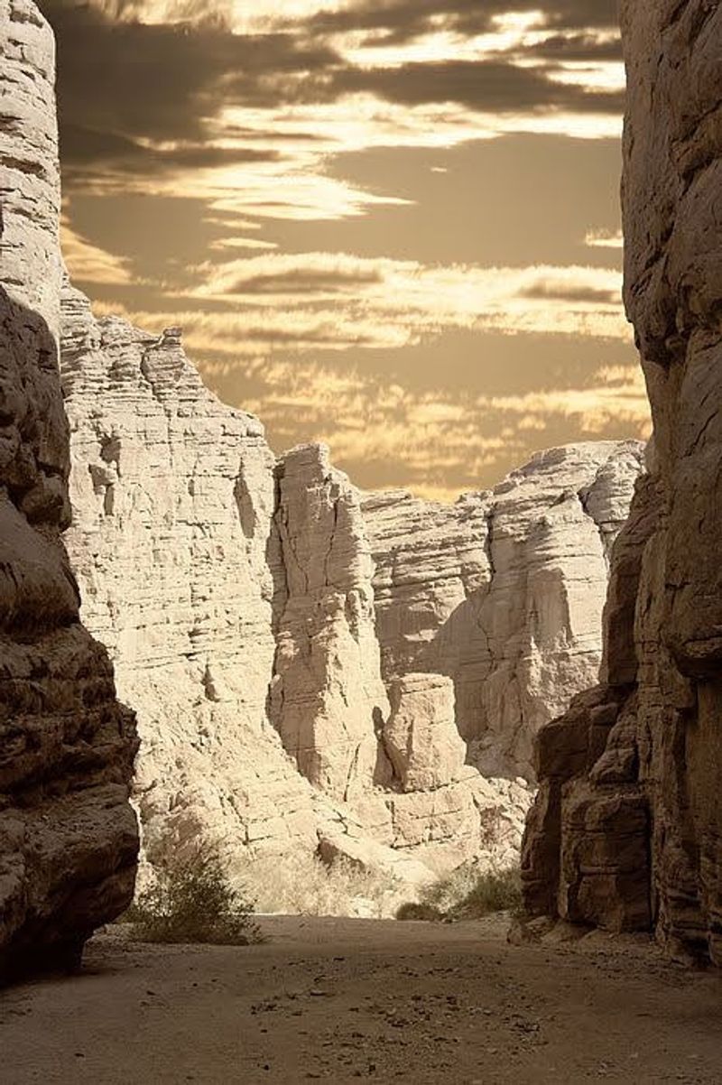 Sixty-Five Million Years Sit In The Rock Layers