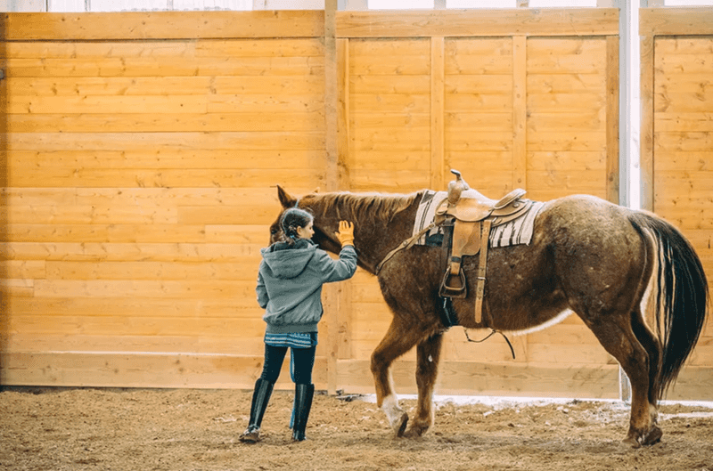 Different Visitors Need Different Ranch Plans