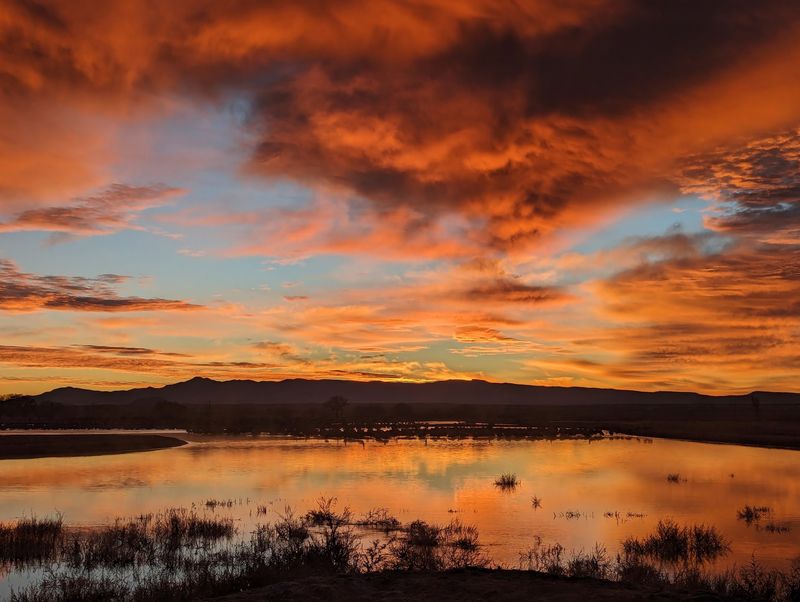 Dawn And Dusk Flights Worth Setting An Alarm For