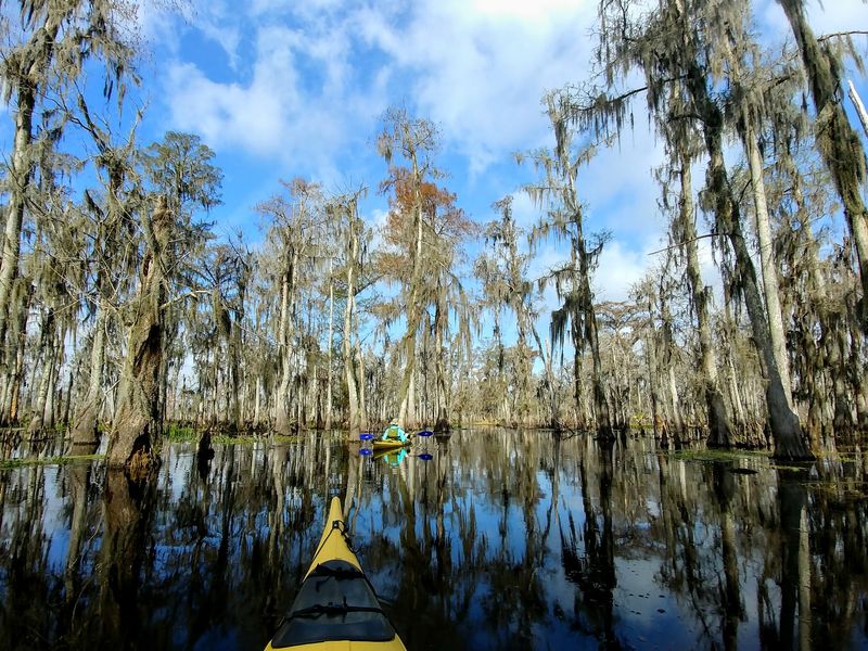 Treat The Bayou As A Water Trail