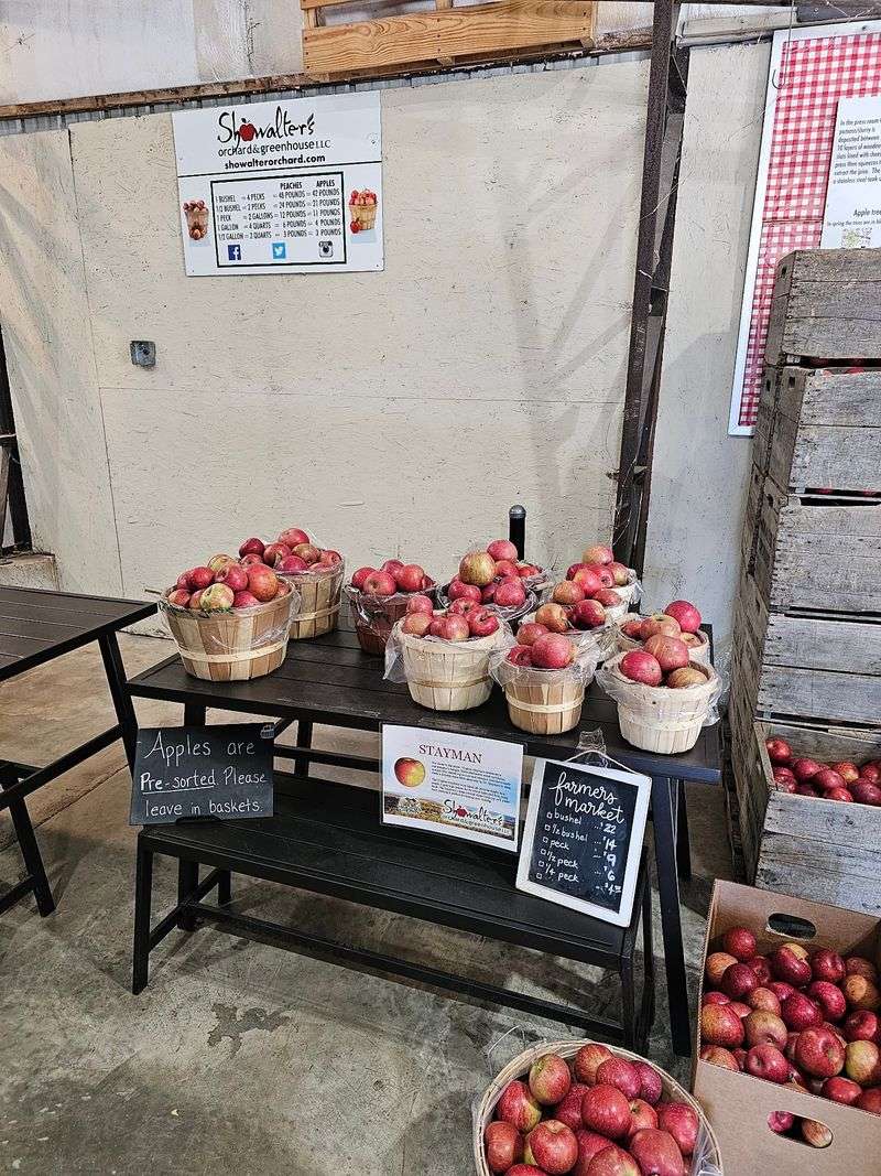 More Than Thirty Apple Varieties Stretch The Harvest Across Fall