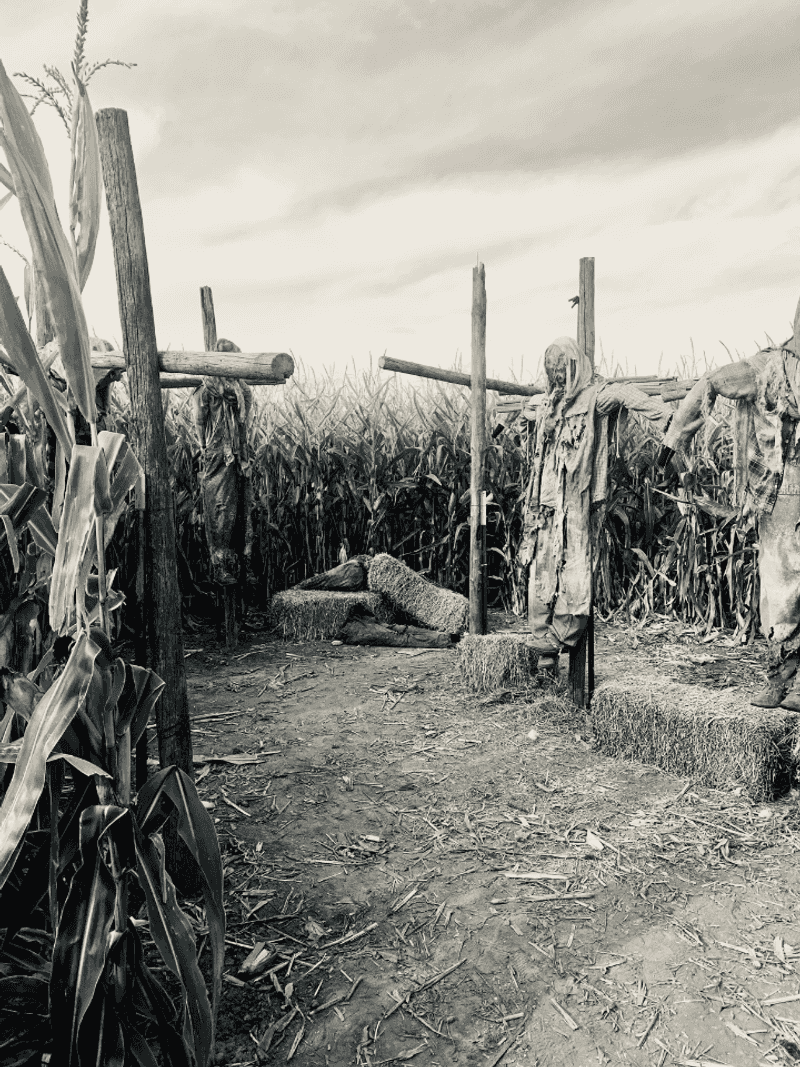 Real Farm Ground Gives The Scares Some Muscle
