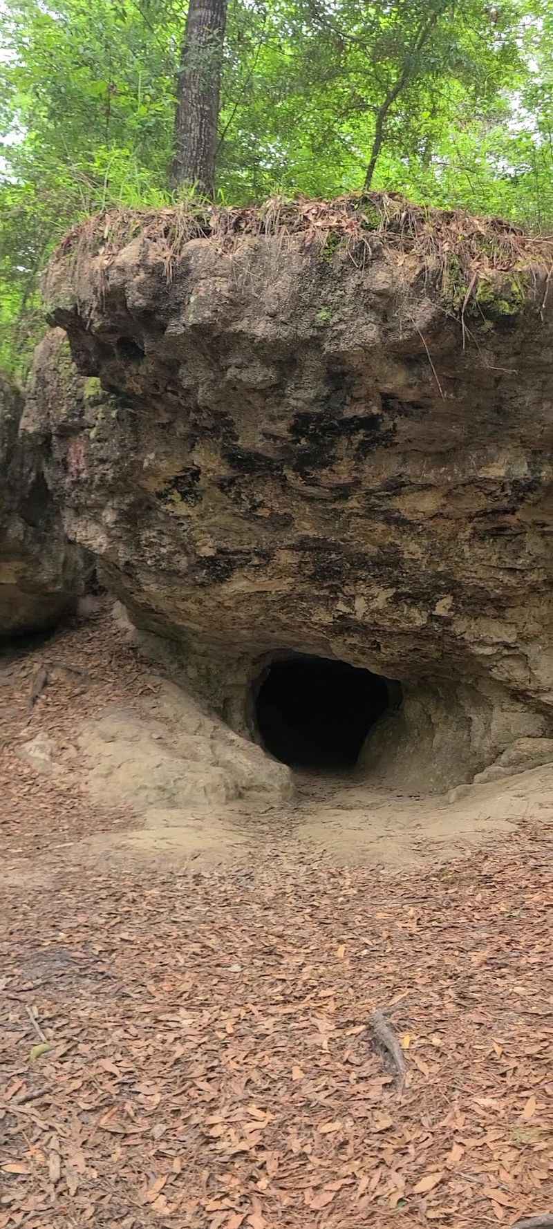 A Peaceful And Quiet Escape