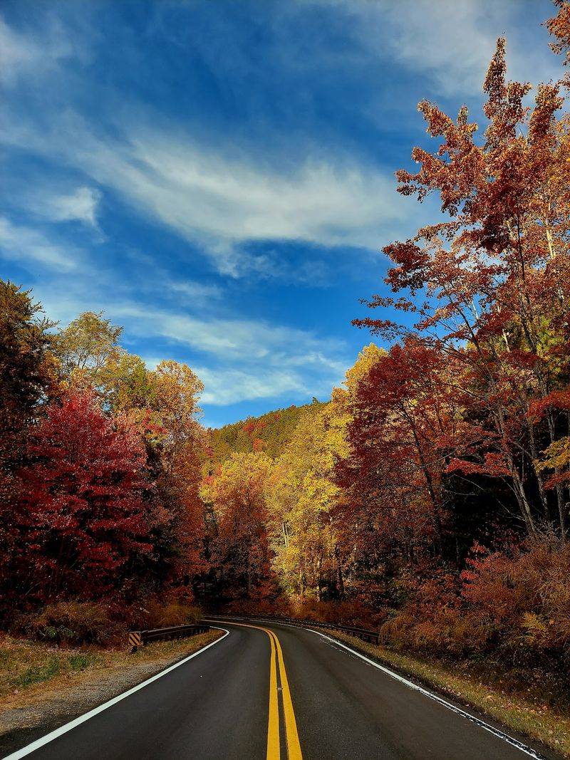 The Cherohala Skyway Turns The Drive Into The Main Event