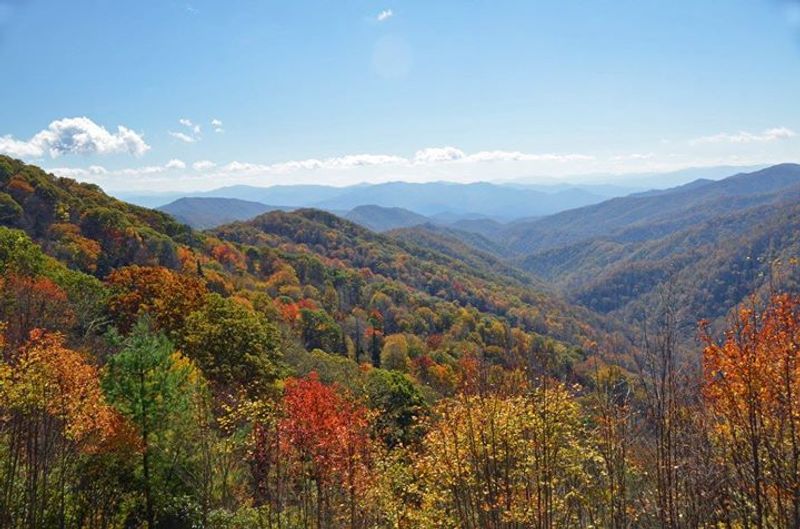 Fall Color Arrives In Layers, Not All At Once