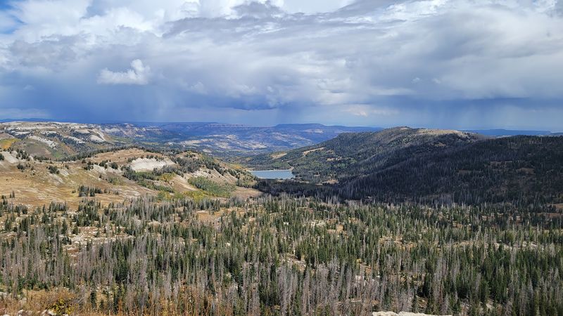 Manti-La Sal National Forest Adds More Than Scenery