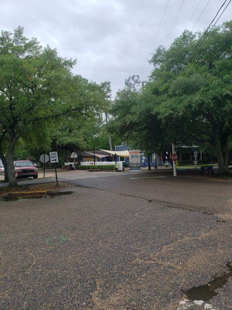 Ride The Tammany Trace Into Town