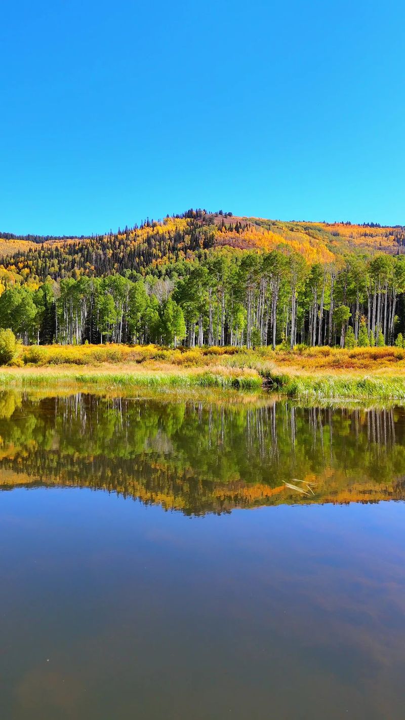 Willow Lake Gives The Walk A Reason