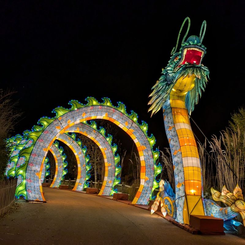 Wild Lights And Choosing The Right Season