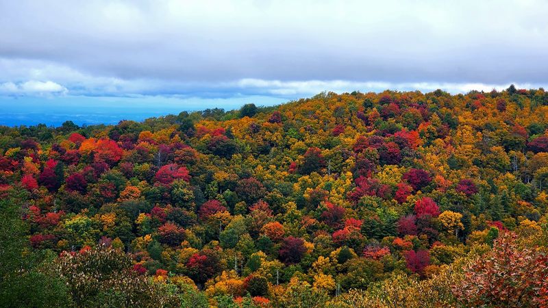 Cherokee National Forest Keeps The Day Open Ended