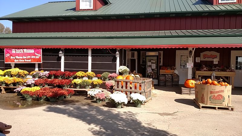 Covered Wagon Farm Market, Englewood, OH