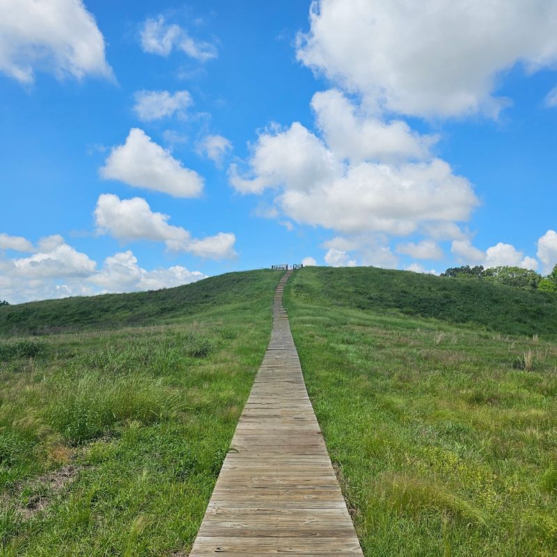 Mound A and the climb that changes your perspective