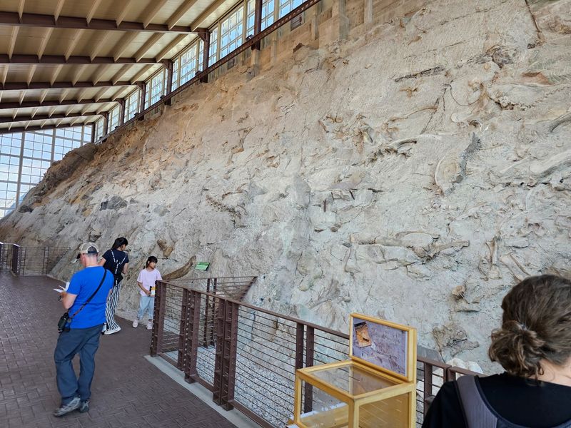 The Fossil Wall Makes Deep Time Look Strangely Practical
