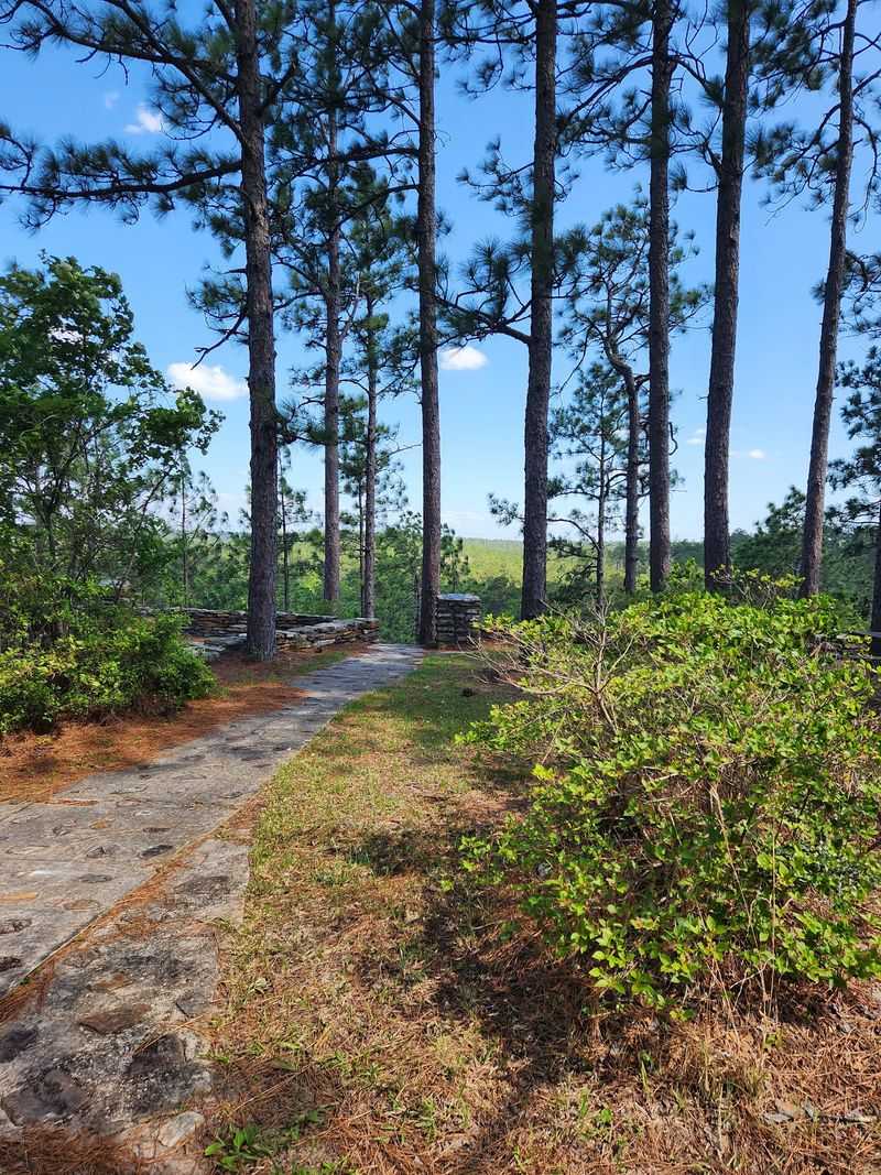 Longleaf Vista Nature Trail, Natchitoches, LA